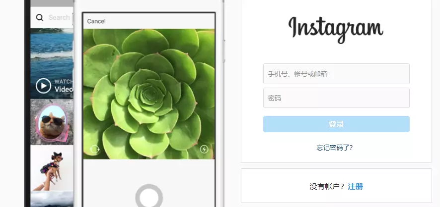 Instagram官网网页版